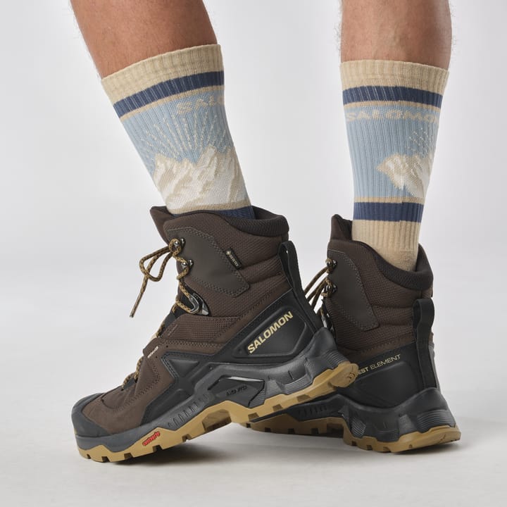 ☆Salomon☆ Quest Element GTX Delicioso Black Duel Gold L472 Salomon Quest Element GTX Delicioso/Black/Dull Gold